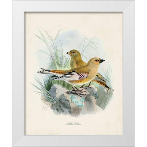 Antique Birds III White Modern Wood Framed Art Print by Unknown