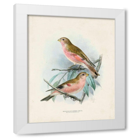 Antique Birds IV White Modern Wood Framed Art Print by Unknown