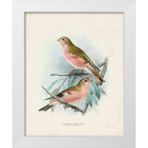 Antique Birds IV White Modern Wood Framed Art Print by Unknown