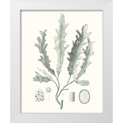 Sage Green Seaweed I White Modern Wood Framed Art Print by Vision Studio