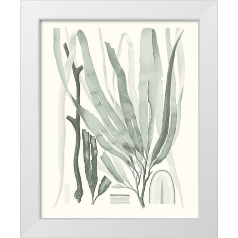 Sage Green Seaweed II White Modern Wood Framed Art Print by Vision Studio