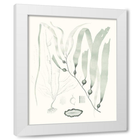 Sage Green Seaweed III White Modern Wood Framed Art Print by Vision Studio