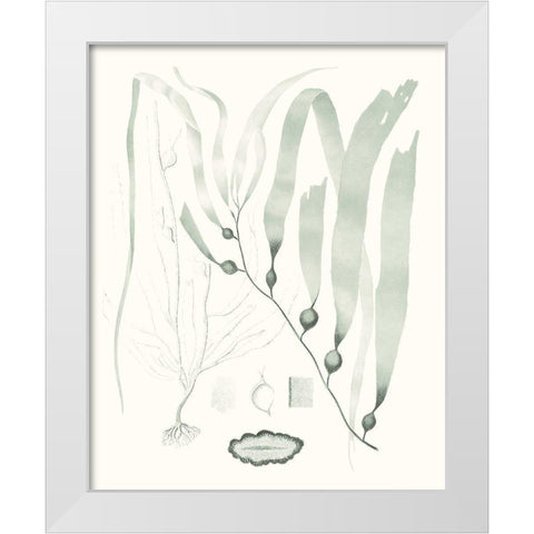 Sage Green Seaweed III White Modern Wood Framed Art Print by Vision Studio