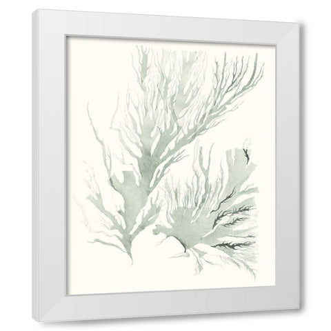 Sage Green Seaweed IV White Modern Wood Framed Art Print by Vision Studio