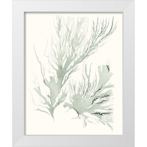 Sage Green Seaweed IV White Modern Wood Framed Art Print by Vision Studio