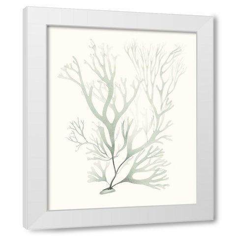 Sage Green Seaweed V White Modern Wood Framed Art Print by Vision Studio