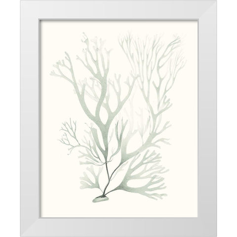Sage Green Seaweed V White Modern Wood Framed Art Print by Vision Studio