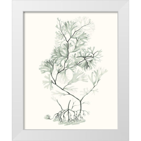 Sage Green Seaweed VI White Modern Wood Framed Art Print by Vision Studio