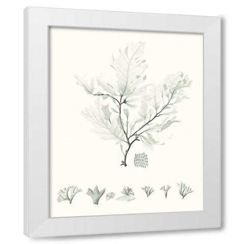 Sage Green Seaweed VII White Modern Wood Framed Art Print by Vision Studio