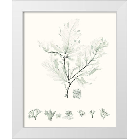 Sage Green Seaweed VII White Modern Wood Framed Art Print by Vision Studio