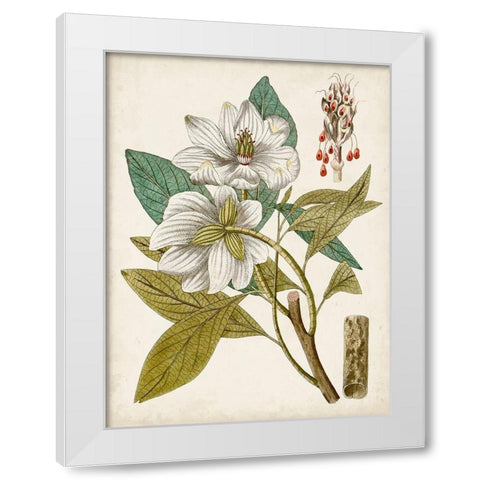 Vintage Charm I White Modern Wood Framed Art Print by Vision Studio