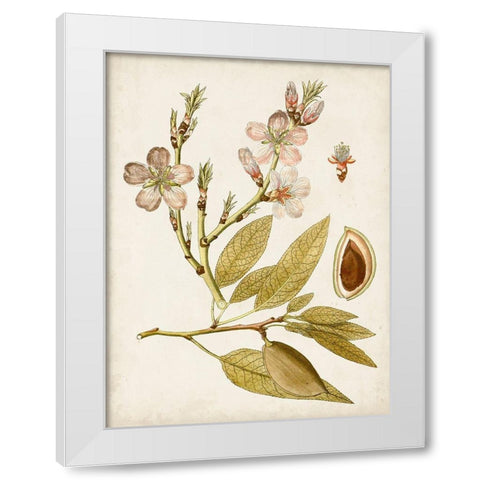 Vintage Charm IV White Modern Wood Framed Art Print by Vision Studio