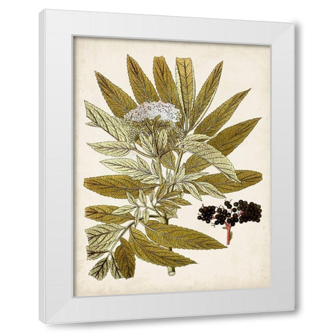 Vintage Charm V White Modern Wood Framed Art Print by Vision Studio