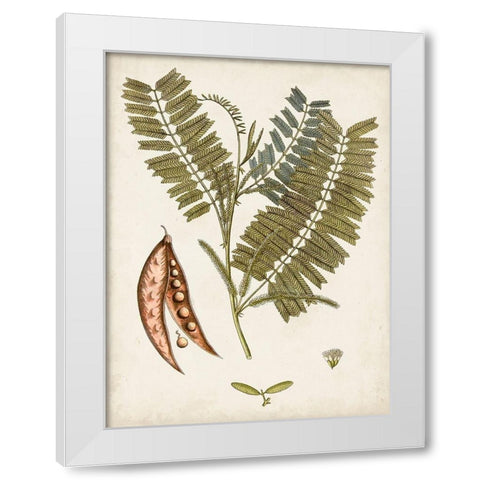 Vintage Charm VII White Modern Wood Framed Art Print by Vision Studio