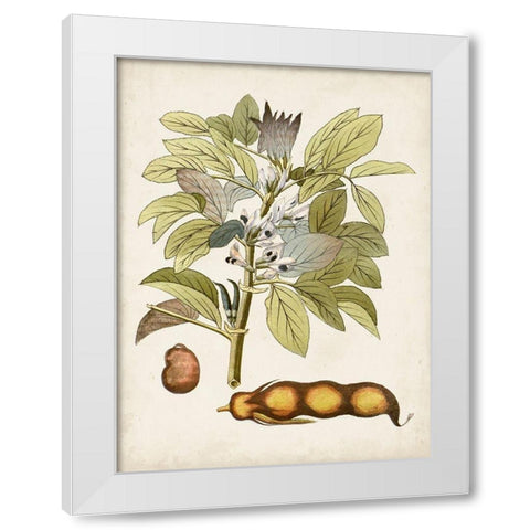 Vintage Charm VIII White Modern Wood Framed Art Print by Vision Studio