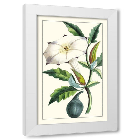 Turpin Exotic Botanical I White Modern Wood Framed Art Print by Turpin