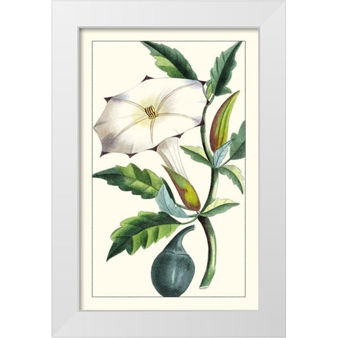 Turpin Exotic Botanical I White Modern Wood Framed Art Print by Turpin