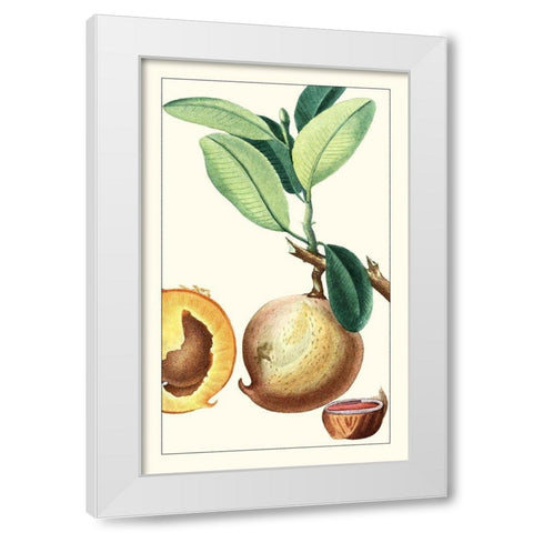 Turpin Exotic Botanical II White Modern Wood Framed Art Print by Turpin