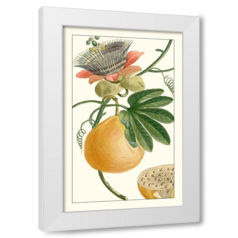 Turpin Exotic Botanical III White Modern Wood Framed Art Print by Turpin