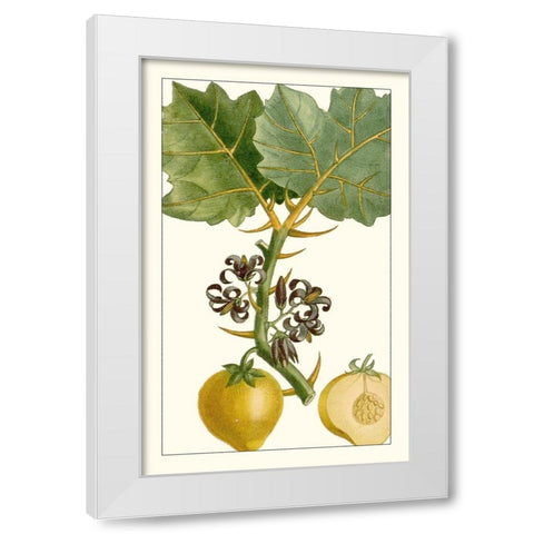 Turpin Exotic Botanical IV White Modern Wood Framed Art Print by Turpin