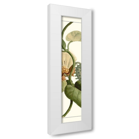 Turpin Exotic Botanical V White Modern Wood Framed Art Print by Turpin