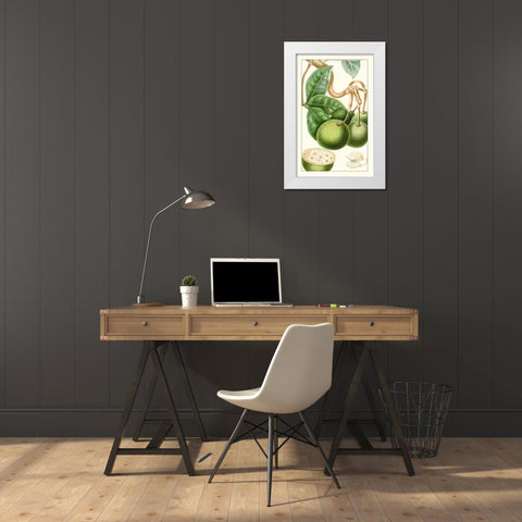 Turpin Exotic Botanical VI White Modern Wood Framed Art Print by Turpin