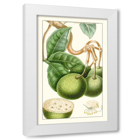 Turpin Exotic Botanical VI White Modern Wood Framed Art Print by Turpin