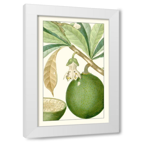 Turpin Exotic Botanical VIII White Modern Wood Framed Art Print by Turpin