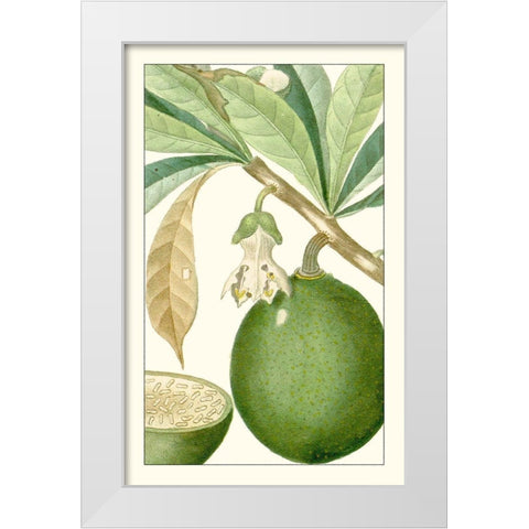 Turpin Exotic Botanical VIII White Modern Wood Framed Art Print by Turpin