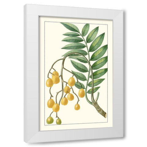 Turpin Exotic Botanical IX White Modern Wood Framed Art Print by Turpin