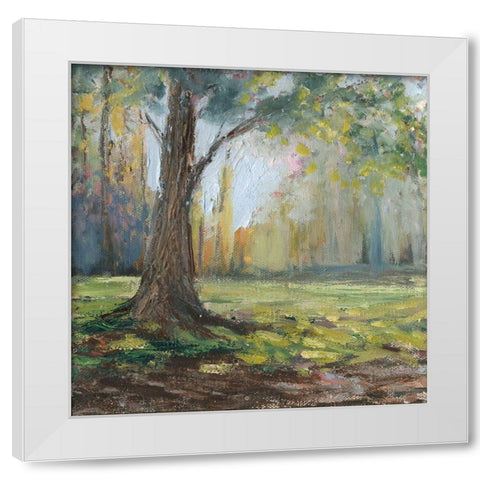 Custom Path to the Tree I White Modern Wood Framed Art Print by Iafrate, Sandra