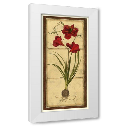 Amaryllis Panel I White Modern Wood Framed Art Print by Vision Studio