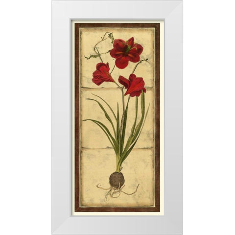 Amaryllis Panel I White Modern Wood Framed Art Print by Vision Studio