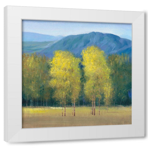 Shaft of Light II White Modern Wood Framed Art Print by OToole, Tim