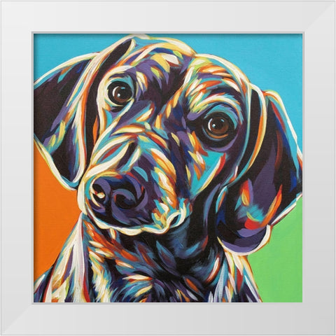 Painted Dachshund II White Modern Wood Framed Art Print by Vitaletti, Carolee