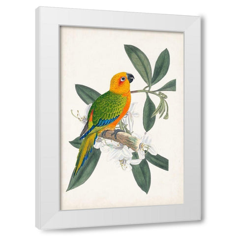 UA Tropical Bird and Flower I White Modern Wood Framed Art Print by Vision Studio