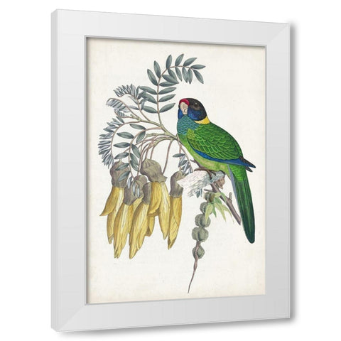 Tropical Bird and Flower II White Modern Wood Framed Art Print by Vision Studio