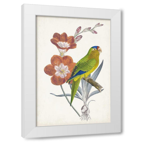 Tropical Bird and Flower III White Modern Wood Framed Art Print by Vision Studio