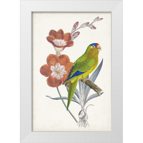 Tropical Bird and Flower III White Modern Wood Framed Art Print by Vision Studio