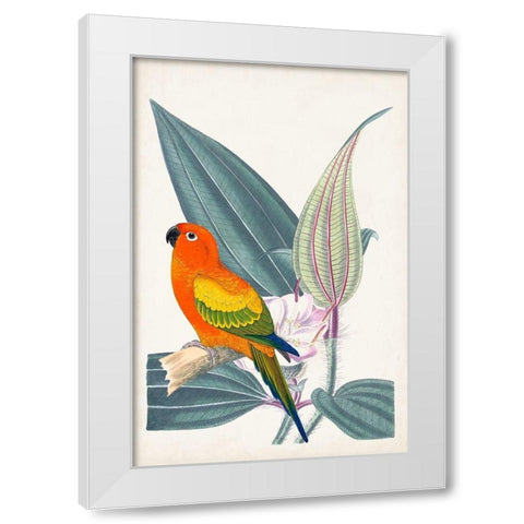 UA Tropical Bird and Flower IV White Modern Wood Framed Art Print by Vision Studio