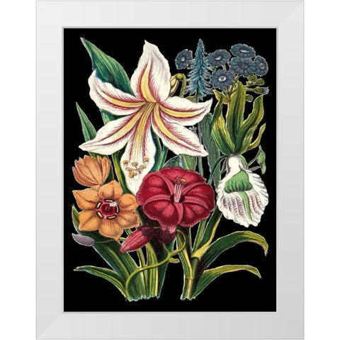 Garden Gathering V White Modern Wood Framed Art Print by Unknown