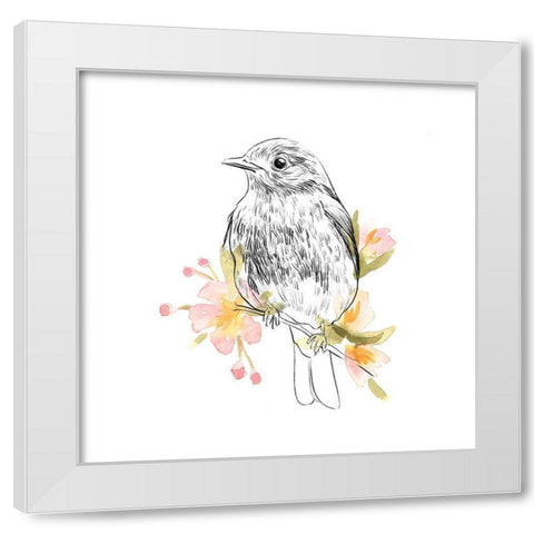 Robin Sketch II White Modern Wood Framed Art Print by Scarvey, Emma