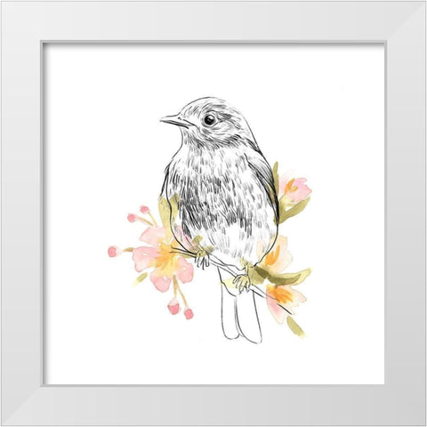 Robin Sketch II White Modern Wood Framed Art Print by Scarvey, Emma