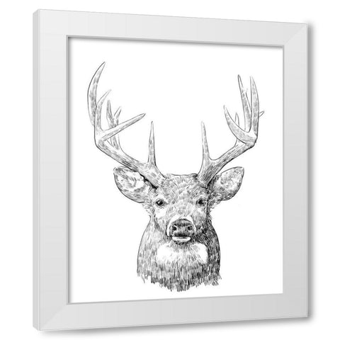 Young Buck Sketch II White Modern Wood Framed Art Print by Scarvey, Emma