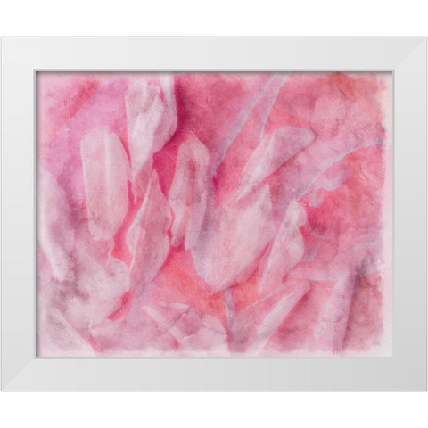 Coral Essence II White Modern Wood Framed Art Print by Bane, Eva