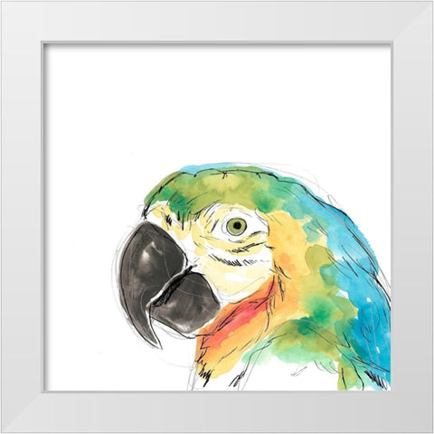 Tropical Bird Portrait I White Modern Wood Framed Art Print by Vess, June Erica