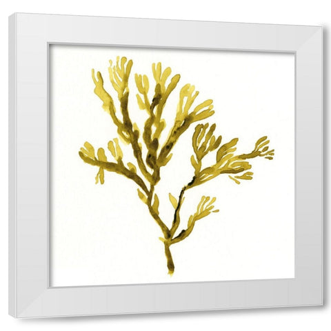 Suspended Seaweed I White Modern Wood Framed Art Print by Green, Jacob