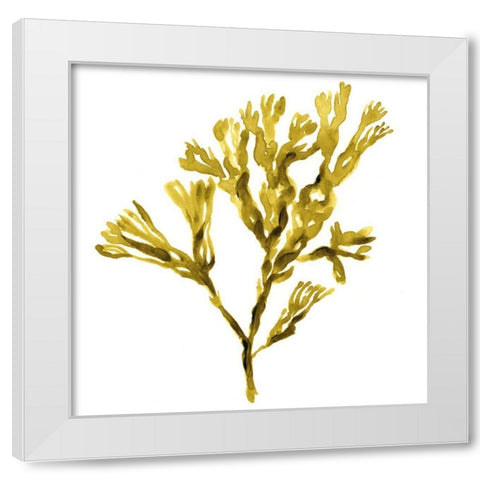 Suspended Seaweed II White Modern Wood Framed Art Print by Green, Jacob