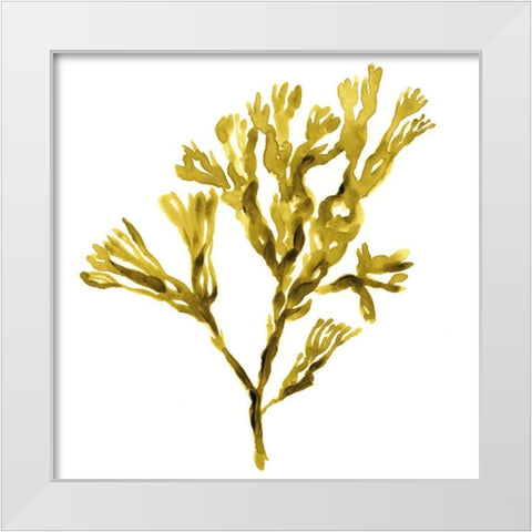 Suspended Seaweed II White Modern Wood Framed Art Print by Green, Jacob