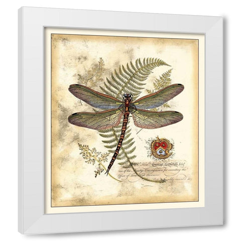 Regal Dragonfly I White Modern Wood Framed Art Print by Vision Studio